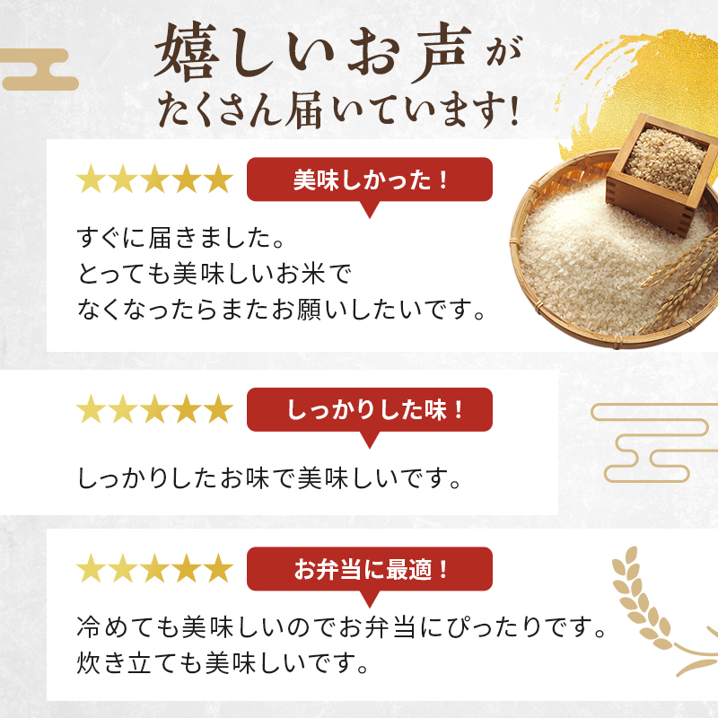 米 定期便 9ヶ月 銀河のしずく 無洗米 10kg(5kg×2) お米 精米 白米 こめ コメ おこめ ごはん お米マイスター 推奨 ブランド米 常温 国産 岩手県 岩手 盛岡市産 定期 お楽しみ 9回