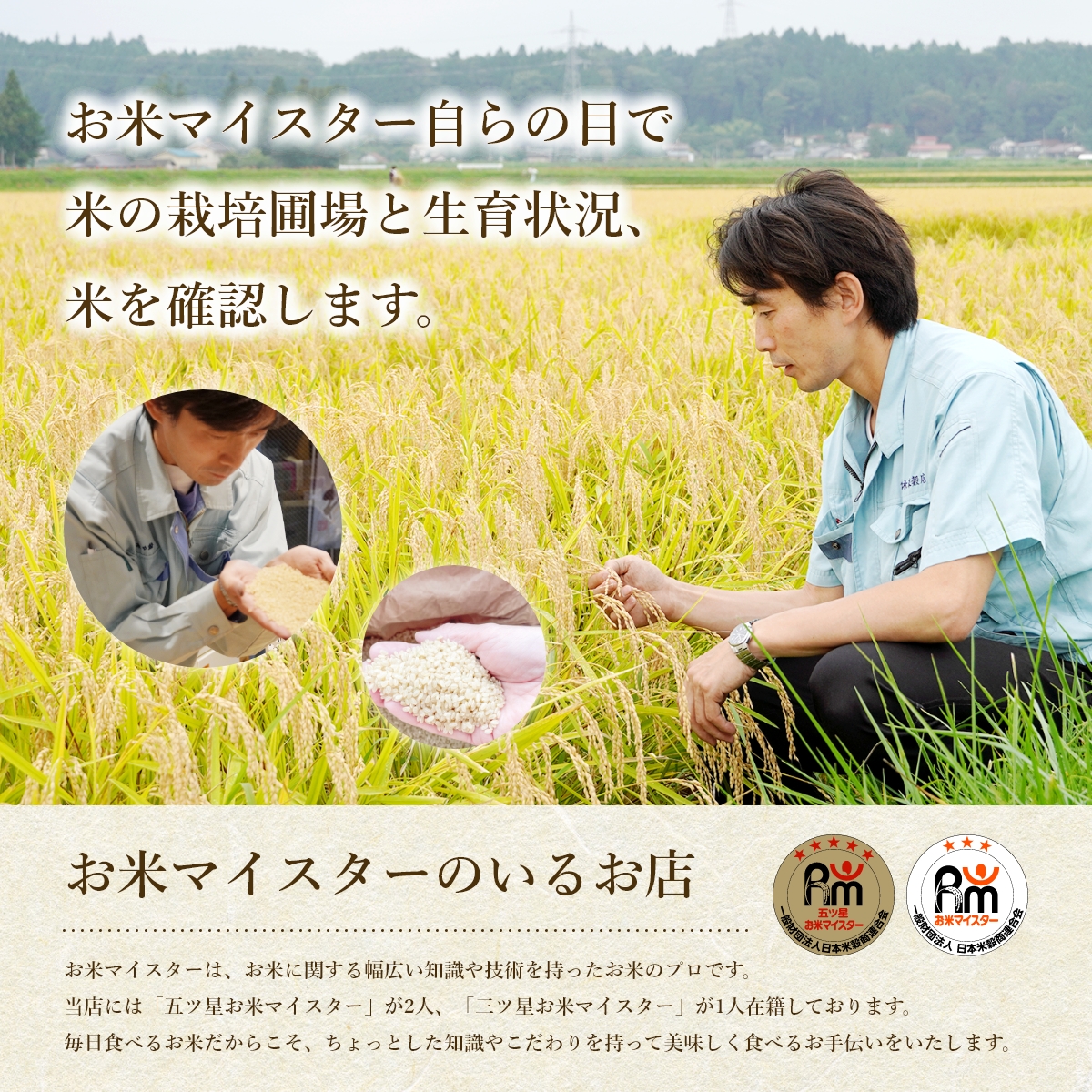 【3か月定期便】盛岡市産お米2種食べ比べ【5kg×2袋】×3か月