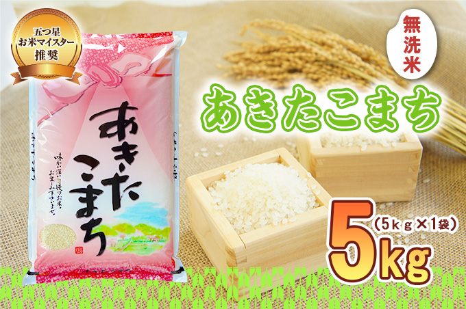 無洗米 盛岡市産 あきたこまち 5kg お米マイスター 厳選 米 こめ お米 おこめ 白米 精米 ご飯 ごはん 秋田こまち 岩手 岩手県 盛岡市