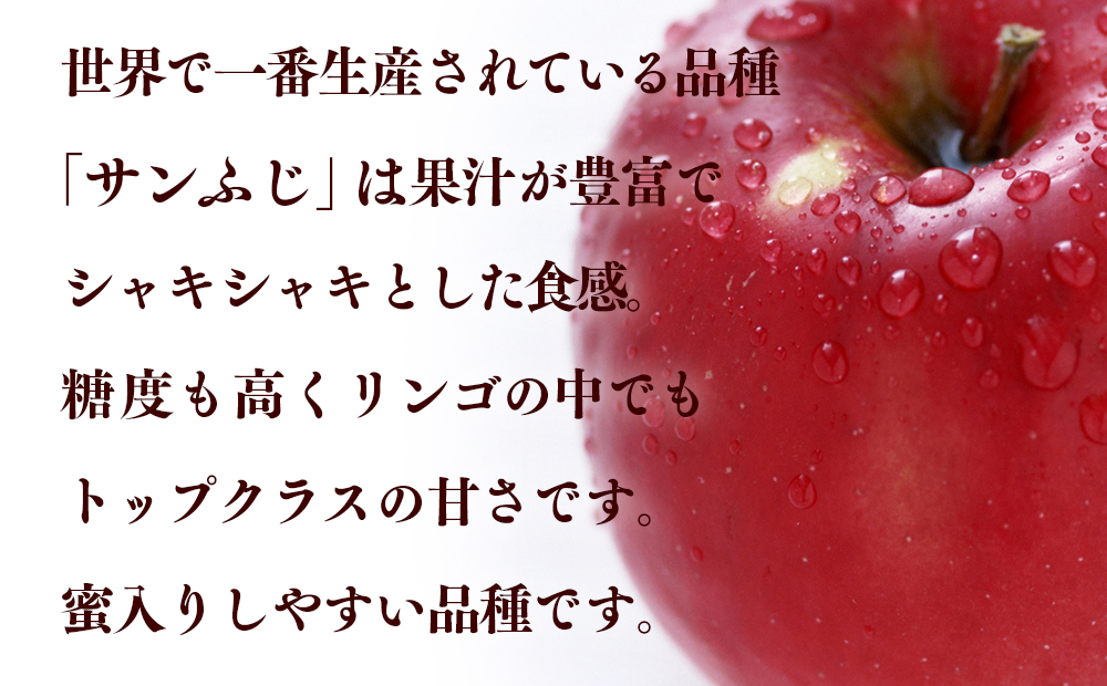 先行予約《2024年12月中旬～発送》ふじむら農園の盛岡りんご『サンふじ』約3kg（ご家庭用）【季節限定・数量限定】8玉～14玉 果物類 美味しい 生産 大人気 果汁 果肉 シャキシャキ 食感 絶品 高糖度