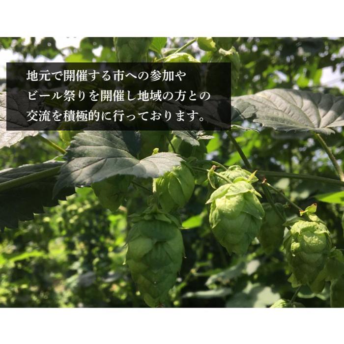 クラフトビール 定期便 3ヶ月 缶ビール 瓶ビール 各6本 飲み比べセット ベアレン ベアレンビール 飲み比べ セット 詰め合わせ 地ビール ビール ラガー 酒 アルコール 岩手 岩手県 盛岡市 お楽しみ 3回 定期