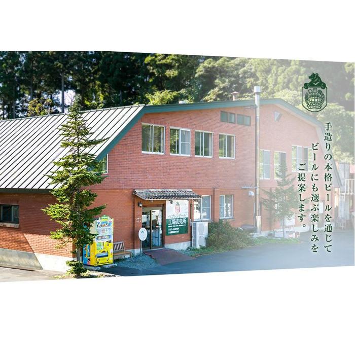 クラフトビール 定期便 6ヶ月 缶ビール 瓶ビール 各6本 飲み比べセット ベアレン ベアレンビール 飲み比べ セット 詰め合わせ 地ビール ビール ラガー 酒 アルコール 岩手 岩手県 盛岡市 6回 半年 定期