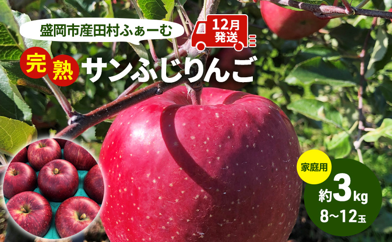 先行予約【12月発送】盛岡市産 田村ふぁーむ 家庭用 完熟 サンふじ りんご 約3kg（6～10玉）