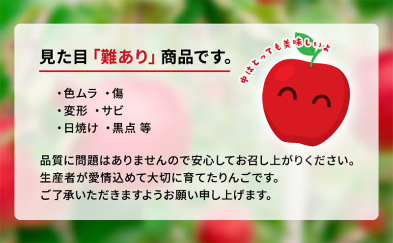 先行予約【12月発送】盛岡市産 田村ふぁーむ 家庭用 完熟 サンふじ りんご 約3kg（6～10玉）