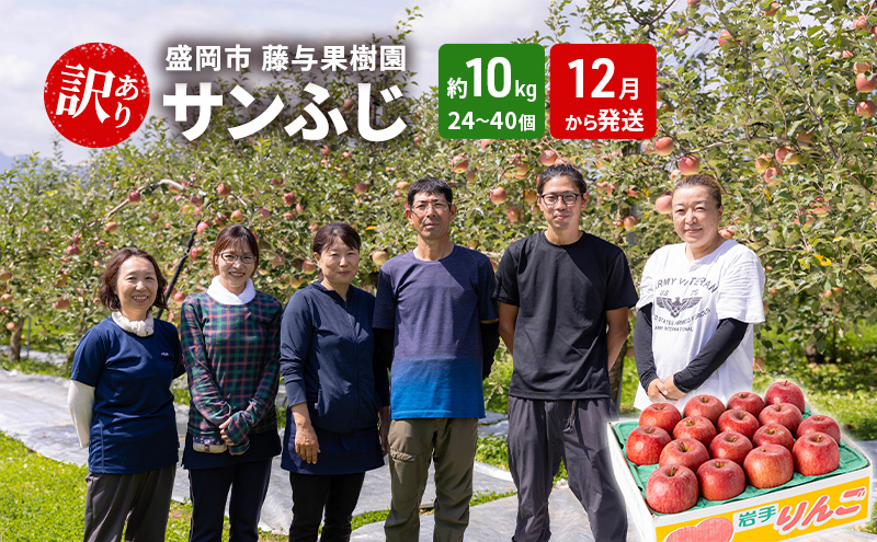盛岡から「農で人をつなぐ」藤与果樹園：《訳アリ》サンふじ10kg 藤与果樹園 訳アリ 不揃い 傷 規格外 フルーツ 果物 旬のフルーツ 旬の果物 旬 冬 岩手 盛岡 産地直送 11月から発送