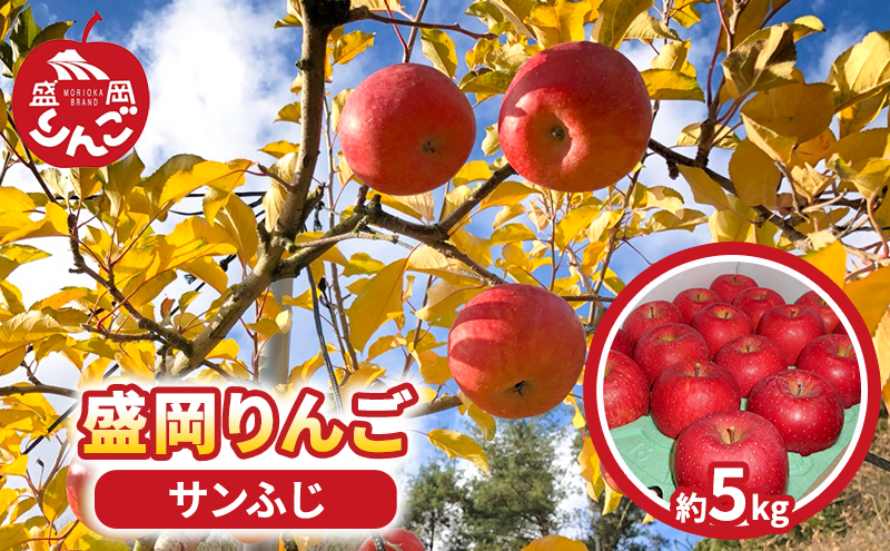 【先行予約】　朝島観光りんご園 りんご「サンふじ」約5kg