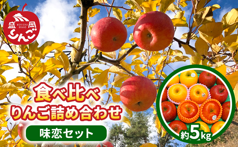 先行予約　朝島観光りんご園 食べ比べ りんご詰め合わせ「味恋セット」約5kg