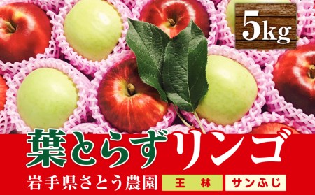 先行予約《2024年12月中旬～発送》さとう農園の葉とらずリンゴ　ミックス（王林/サンふじ）　5kg 14玉～20玉