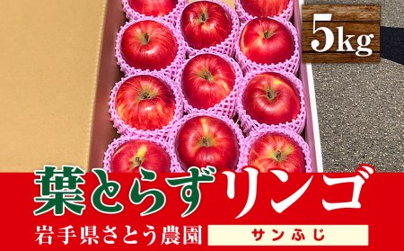 りんご さとう農園の葉とらずリンゴ サンふじ 5kg 葉とらず 家庭用 フルーツ 果物 おやつ 冬 旬 旬のフルーツ 旬の果物 お取り寄せ 取り寄せ 蜜 蜜入り 産地直送 岩手 盛岡 盛岡市 予約 2024 2024年 2025