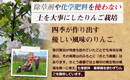 りんご さとう農園の葉とらずリンゴ サンふじ 5kg 葉とらず 家庭用 フルーツ 果物 おやつ 冬 旬 旬のフルーツ 旬の果物 お取り寄せ 取り寄せ 蜜 蜜入り 産地直送 岩手 盛岡 盛岡市 予約 2024 2024年 2025