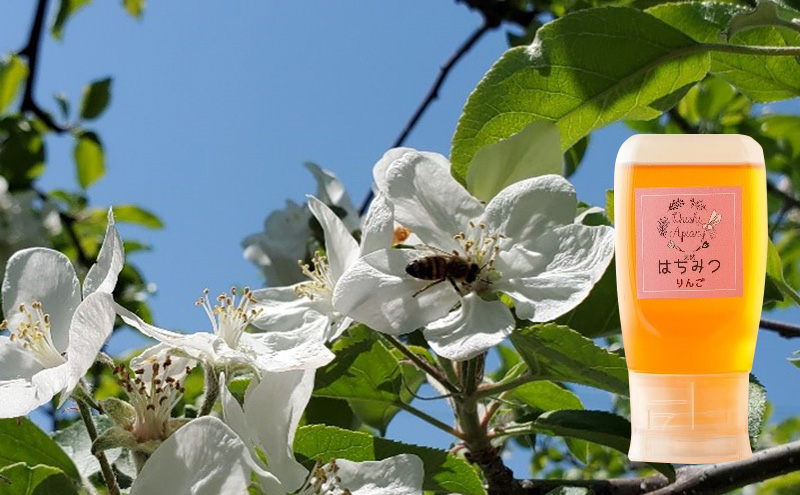 《食べ比べ》盛岡市 大西養蜂場 無添加・無加工 はちみつ《あかしあ》《りんご》《夏の百花》各300g 便利な倒立ボトル