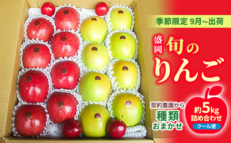 盛岡 旬のりんご《種類おまかせ！》 約5キロ詰め合わせ 《季節限定9月～出荷》《クール便》《契約農園から》