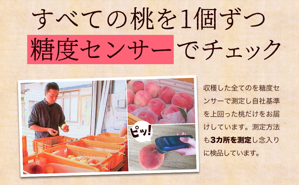 盛岡 ふじむら農園の特撰白桃 1.2kg 約4～6玉 