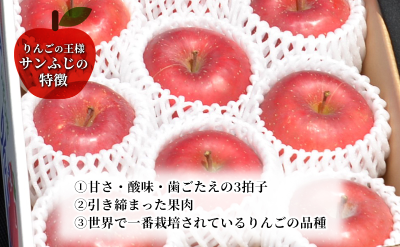先行予約≪2025年12月初旬～発送≫【盛岡ブランド認証】サンふじ 3kg 10玉前後 りんご  盛岡りんご 盛岡市 岩手県 果物 フルーツ 安心 安全 自然栽培 甘い しゃきしゃき 食感 人気品種 ギフト ブランド認証 贈答用