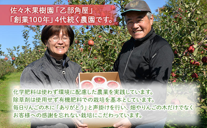 先行予約≪2025年12月初旬～発送≫【盛岡ブランド認証】サンふじ 3kg 10玉前後 りんご  盛岡りんご 盛岡市 岩手県 果物 フルーツ 安心 安全 自然栽培 甘い しゃきしゃき 食感 人気品種 ギフト ブランド認証 贈答用