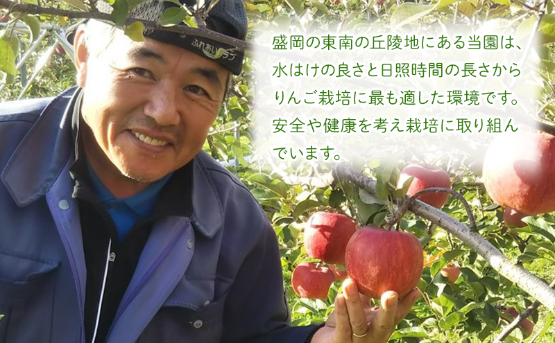 先行予約≪2025年12月初旬～発送≫【盛岡ブランド認証】サンふじ 3kg 10玉前後 りんご  盛岡りんご 盛岡市 岩手県 果物 フルーツ 安心 安全 自然栽培 甘い しゃきしゃき 食感 人気品種 ギフト ブランド認証 贈答用