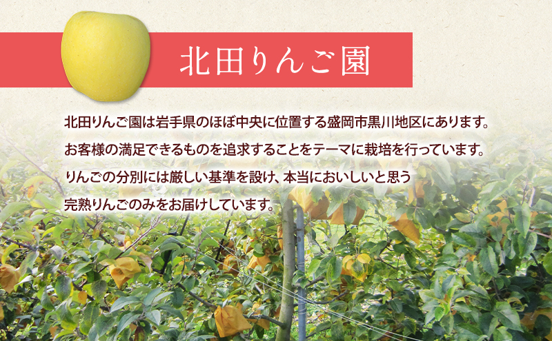 【12月発送】盛岡　北田りんご園　はるか　3kg（8～12個）