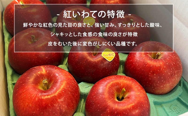 先行予約【9月発送】盛岡　北田りんご園　紅いわて　3kg　(8～12個)