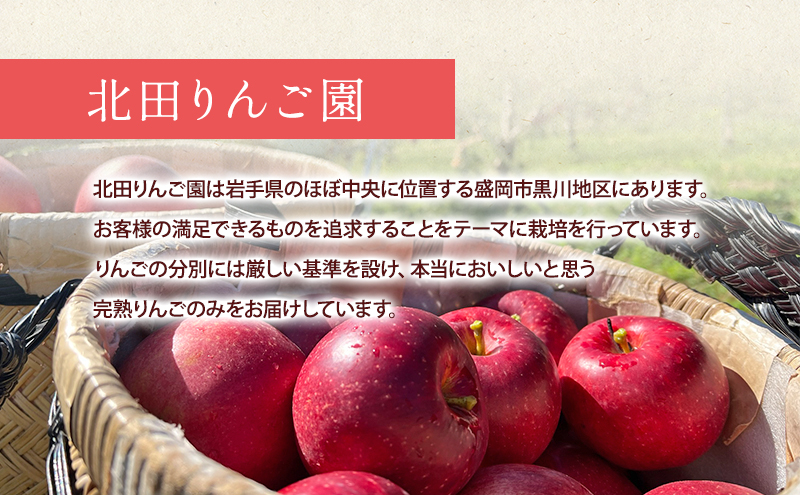 先行予約【9月発送】盛岡　北田りんご園　紅いわて　3kg　(8～12個)