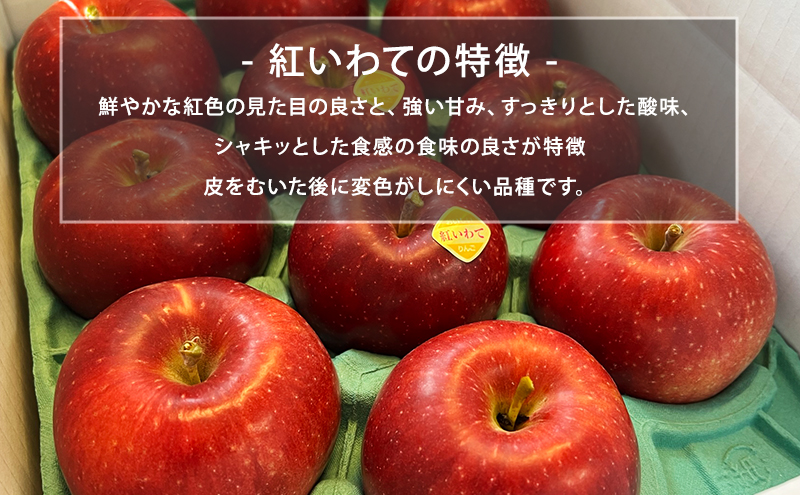 先行予約【9月発送】盛岡　北田りんご園　紅いわて　5kg (14～20個)