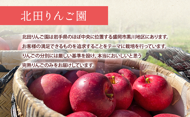 先行予約【9月発送】盛岡　北田りんご園　紅いわて　5kg (14～20個)