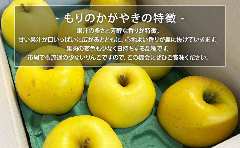先行予約【10月発送】盛岡　北田りんご園　もりのかがやき　3kg　(8～12個)