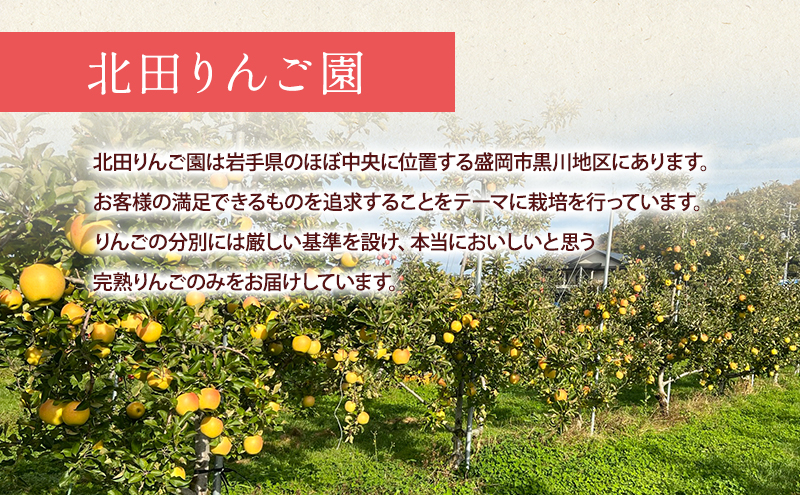 先行予約【10月発送】盛岡　北田りんご園　もりのかがやき　3kg　(8～12個)
