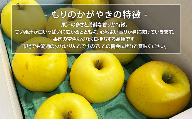 先行予約【10月発送】盛岡　北田りんご園　もりのかがやき　5kg　(14～20個)