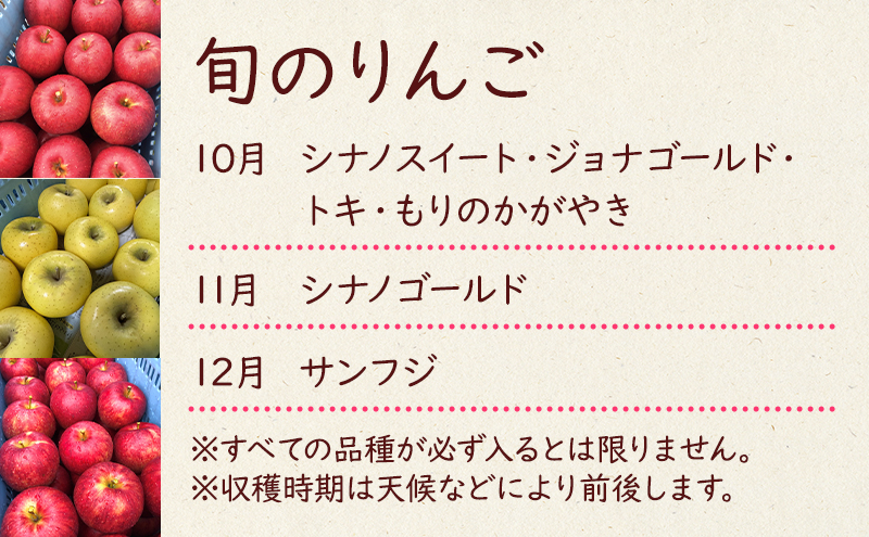 【10月11月12月発送】盛岡市産 田村ふぁーむ 家庭用りんご3kg 定期便3回発送コース