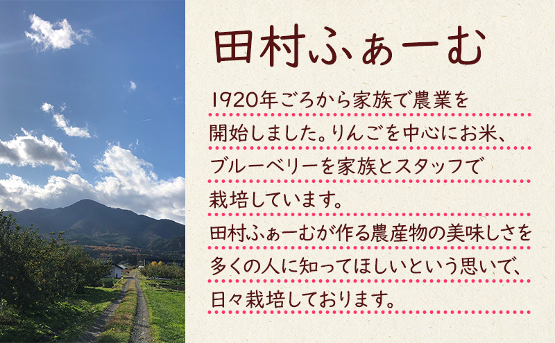 【10月11月12月発送】盛岡市産 田村ふぁーむ 家庭用りんご3kg 定期便3回発送コース