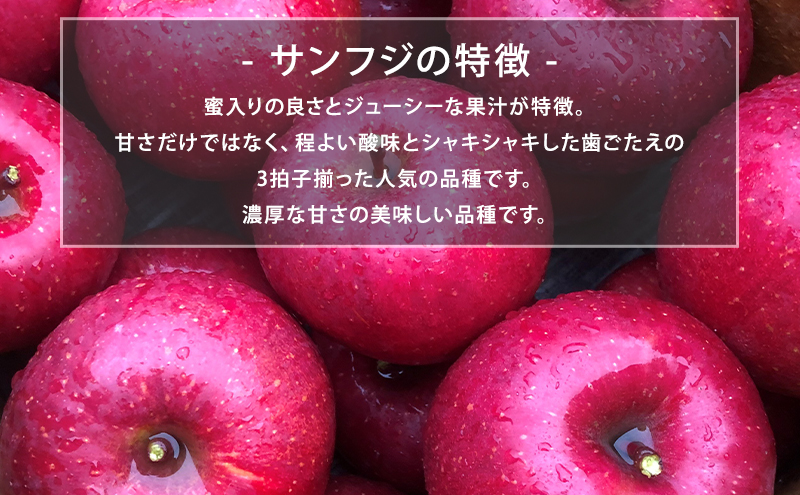 【12月発送】盛岡市産 田村ふぁーむ 家庭用 完熟りんごサンふじ＆シナノゴールド5kg（14～20玉）