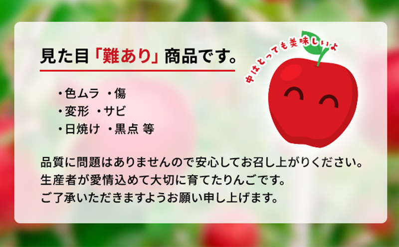 【12月発送】盛岡市産 田村ふぁーむ 家庭用 完熟りんごサンふじ＆シナノゴールド5kg（14～20玉）