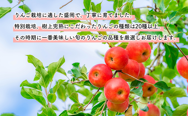 10月発送開始　りんご工房きただ　旬の盛岡りんご「定期便」約5kgりんご