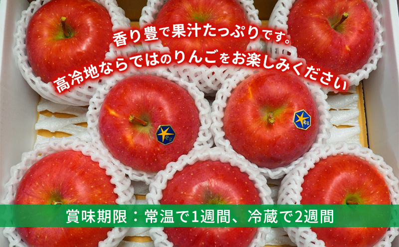 10月末～順次発送【先行予約】朝島りんご生産組合 りんご 北斗約3kg(7～9個)