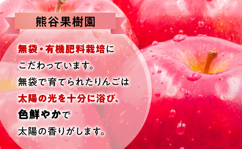 りんご ジョナゴールド 5kg 13～15玉 林檎 リンゴ 果物 くだもの フルーツ 旬の果物 旬のフルーツ 季節の果物 季節のフルーツ 岩手りんご 岩手 岩手県 盛岡市