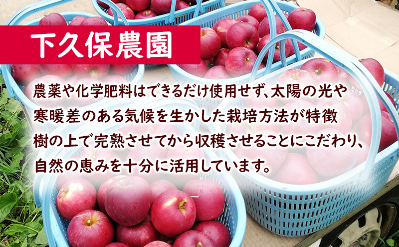 10月限定 りんご 『紅玉』生果実 盛岡りんご 家庭用 約5kg(20～25個) 箱 盛岡市 下久保農園産