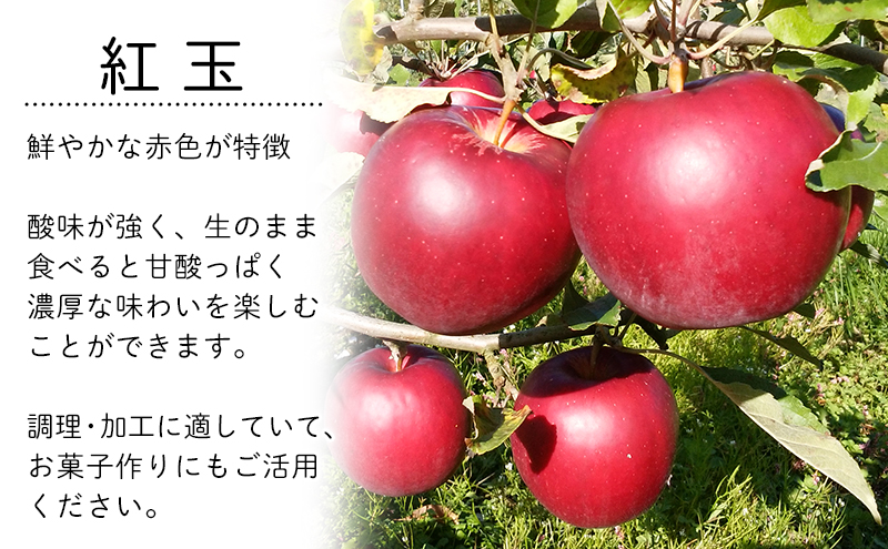 10月限定 りんご 『紅玉』生果実 盛岡りんご 家庭用 約5kg(20～25個) 箱 盛岡市 下久保農園産