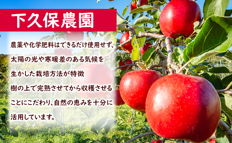 9月限定 りんご 『盛岡りんご』生果実 家庭用 約5kg(18～16個) 箱 詰め合わせ 盛岡市 下久保農園産                       