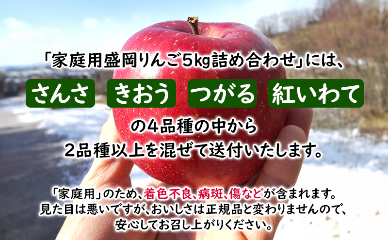 9月限定 りんご 『盛岡りんご』生果実 家庭用 約5kg(18～16個) 箱 詰め合わせ 盛岡市 下久保農園産                       