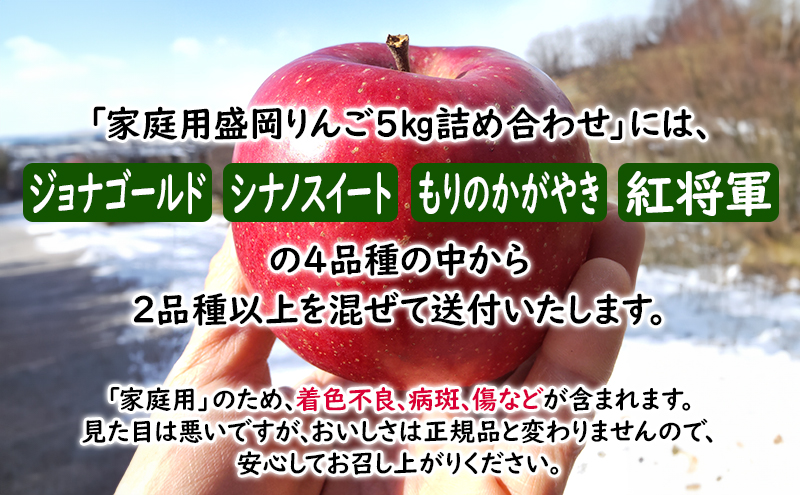 10月限定 りんご 『盛岡りんご』生果実 家庭用 約5kg(18～16個) 箱 詰め合わせ 盛岡市 下久保農園産                   