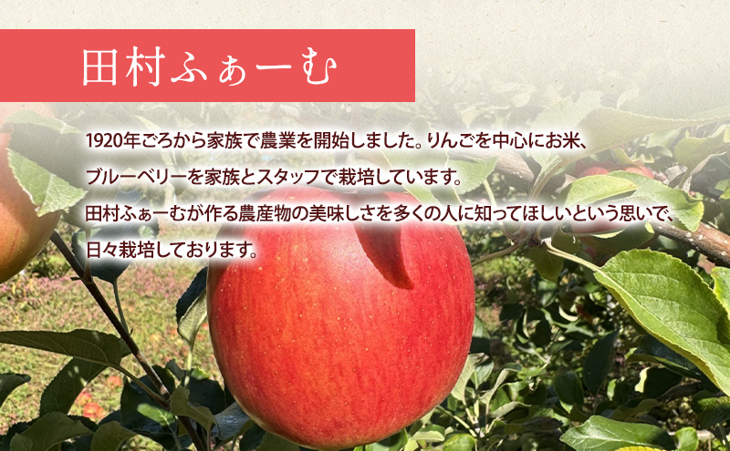 先行予約【12月発送】盛岡市産 田村ふぁーむ 家庭用 完熟 サンふじ りんご 約3kg（6～10玉）