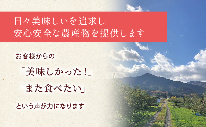 先行予約【12月発送】盛岡市産 田村ふぁーむ 家庭用 完熟 サンふじ りんご 約3kg（6～10玉）