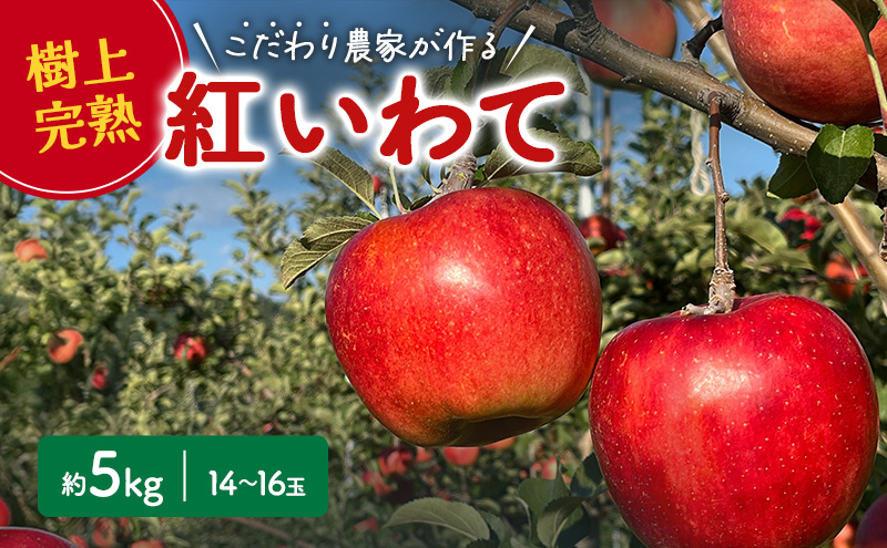 【2025年先行予約 9月中旬より発送】 盛岡りんご 「紅いわて」  約 5kg 14～16玉 贈答 生産者直送
