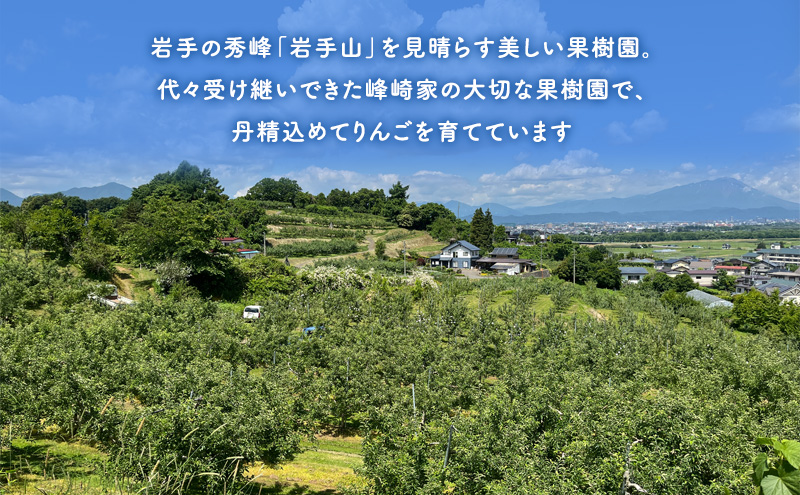 【2024年先行予約 9月中旬より発送】 盛岡りんご 「紅いわて」  約5kg 16玉 贈答 生産者直送