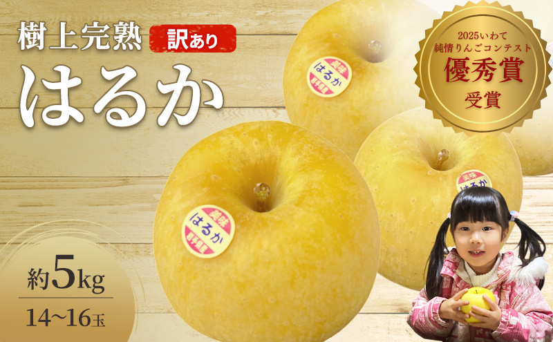 先行予約 訳あり りんご はるか 約 5kg 14～16玉 樹上完熟 林檎 リンゴ 果物 くだもの フルーツ 旬の果物 旬のフルーツ 季節の果物 季節のフルーツ 岩手りんご 訳アリ 直送 岩手 岩手県 盛岡市
