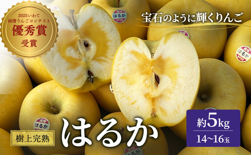 りんご 岩手 樹上完熟 はるか 約 5kg 14～16玉 希少 極上品 フルーツ 果物 おやつ 冬 旬 旬のフルーツ 旬の果物 お取り寄せ 取り寄せ 産地直送 生産者直送 岩手県 盛岡 盛岡市 予約 2025 2025年 年内発送