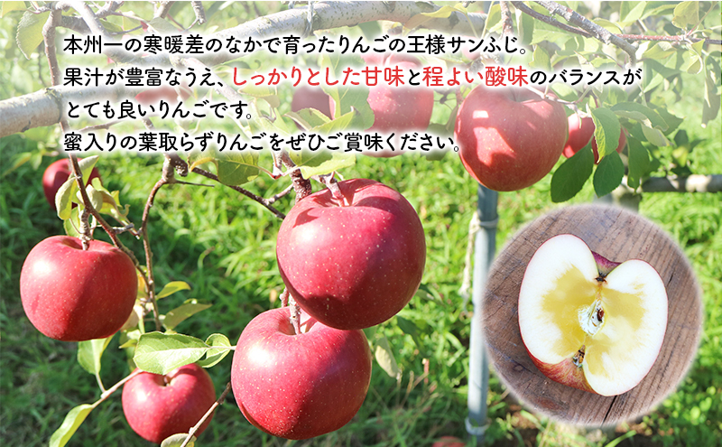 りんご 先行予約 完熟 サンふじ 約 3kg (8～12玉) 北田りんご園 蜜入り 蜜 葉とらずりんご 葉とらず フルーツ 果物 冬 旬 旬のフルーツ 季節のフルーツ 先行 予約 林檎 岩手 岩手県 盛岡 盛岡市 12月発送　お届け：2024年12月1日～2024年12月30日