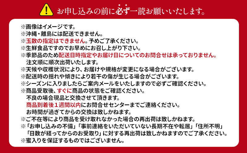 【10月から発送】 りんご 盛岡から「農で人をつなぐ」藤与果樹園：おまかせ中生品種詰め合わせ（ シナノスイート ジョナゴールド 早生ふじ ）約3kg 6～11玉 玉数指定不可 詰め合わせ 岩手 盛岡