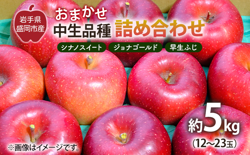 【10月から発送】 りんご 盛岡から「農で人をつなぐ」藤与果樹園：おまかせ中生品種詰め合わせ（ シナノスイート ジョナゴールド 早生ふじ ）約5kg 12～23玉 玉数指定不可 詰め合わせ 岩手 盛岡