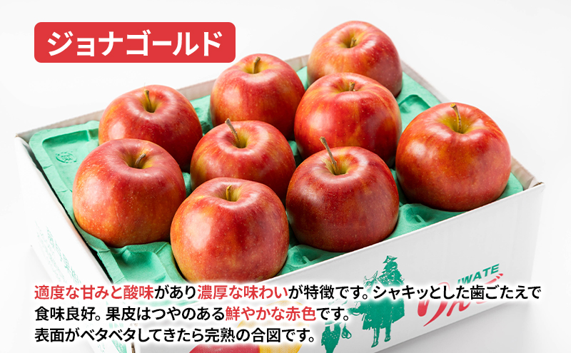 【10月から発送】 りんご 盛岡から「農で人をつなぐ」藤与果樹園：おまかせ中生品種詰め合わせ（ シナノスイート ジョナゴールド 早生ふじ ）約5kg 12～23玉 玉数指定不可 詰め合わせ 岩手 盛岡